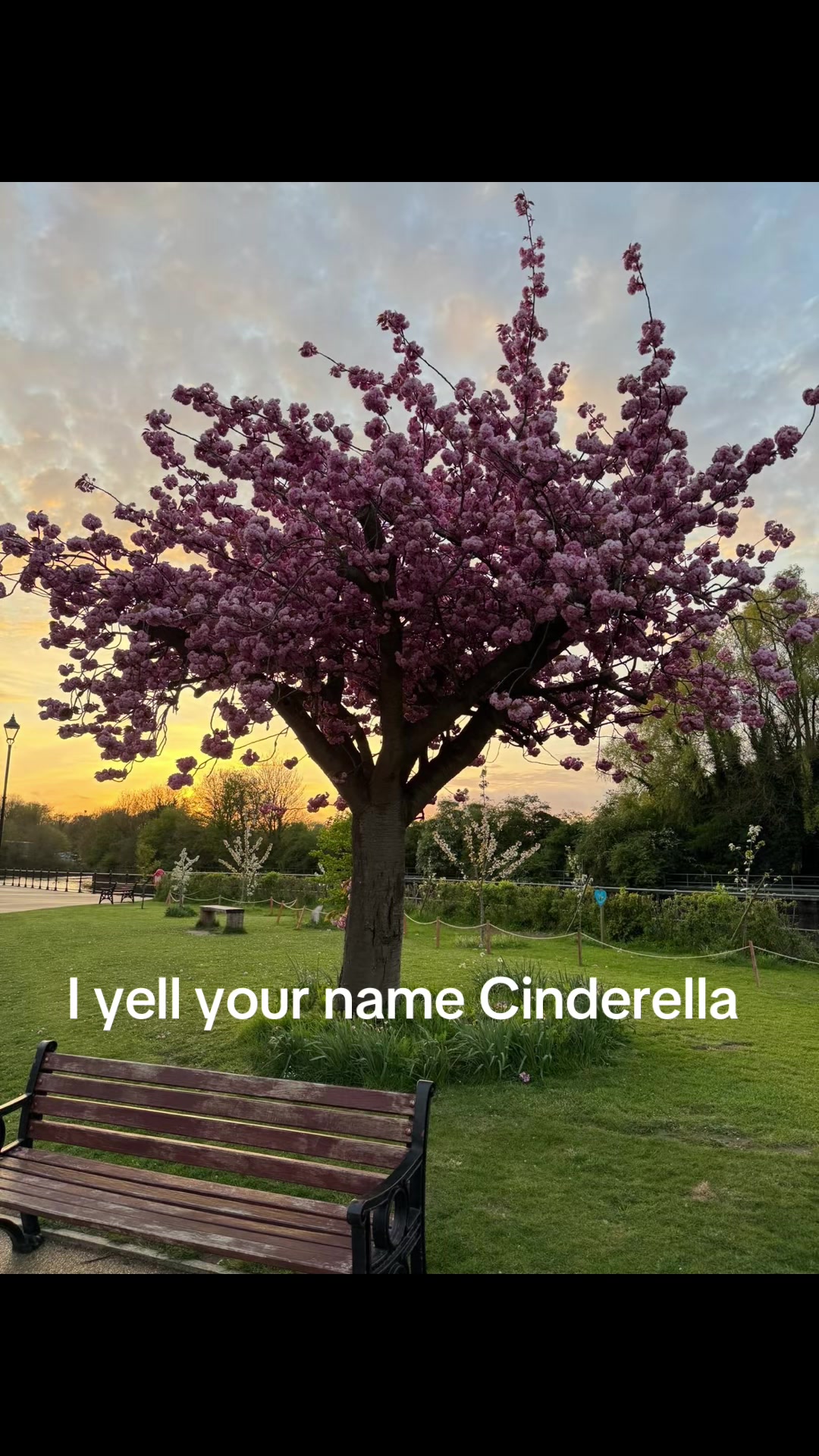 @IloveMygirlfriend