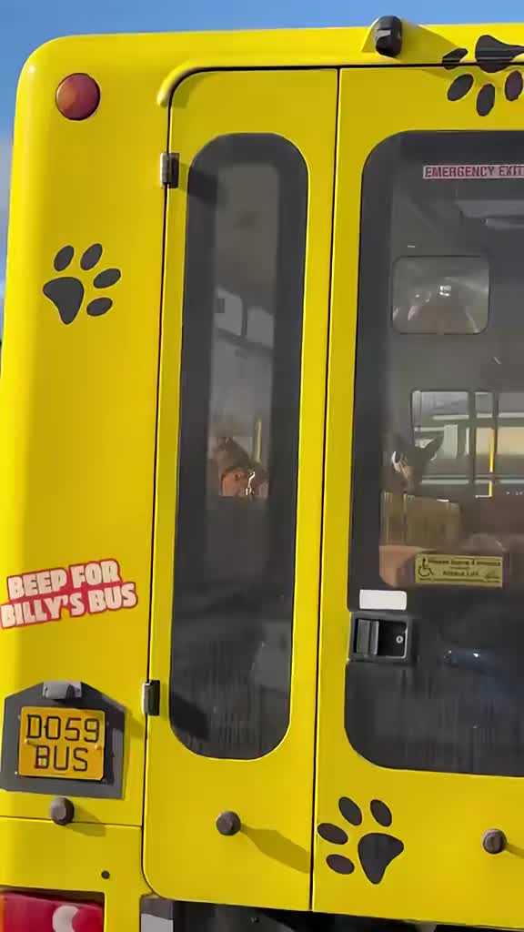 @Billy&rsquo;s Bus