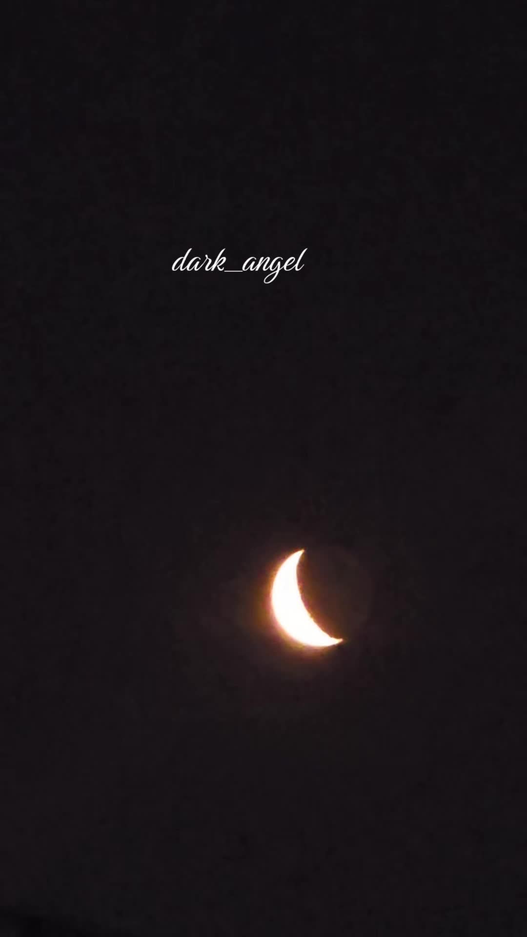 @Dark Angel