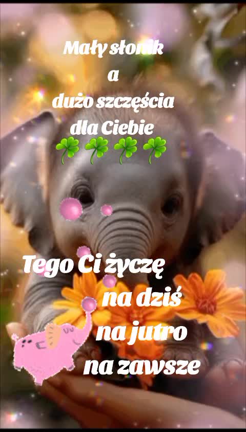 @Słodka wariatka