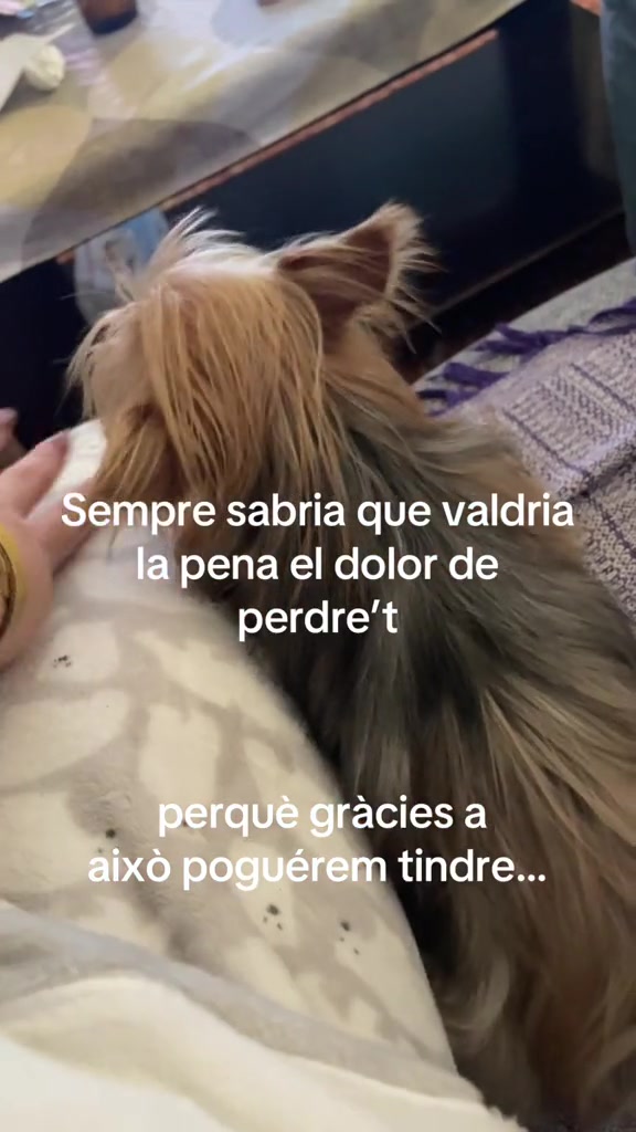 @Lidia