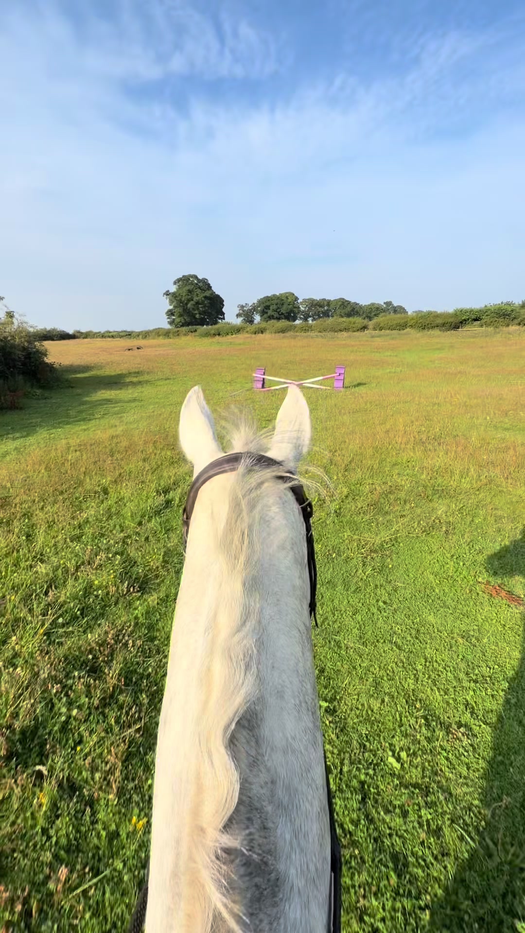 @Attempting to ride❤️