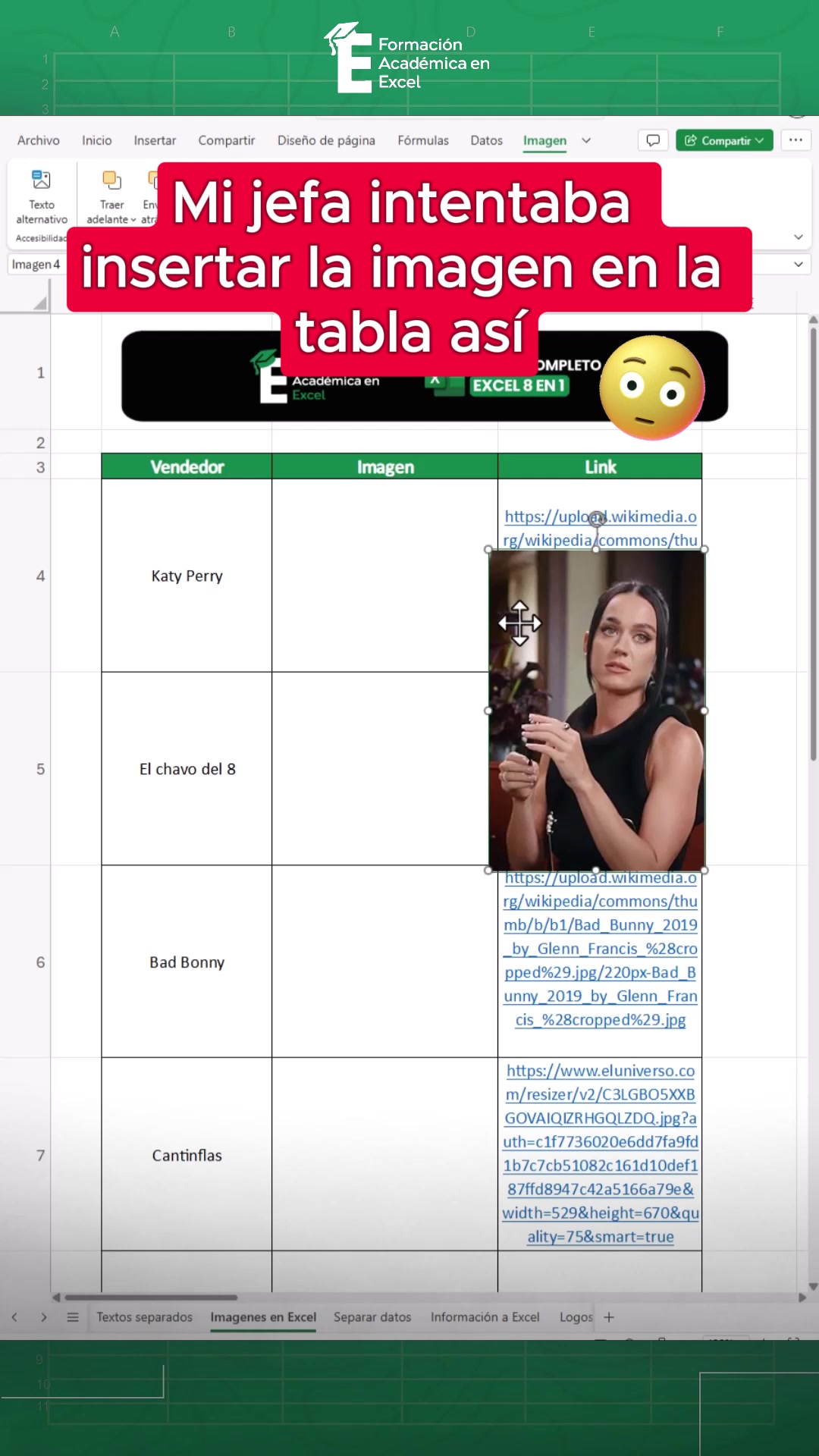 @FAE Formaci&oacute;n Acad&eacute;mica Excel