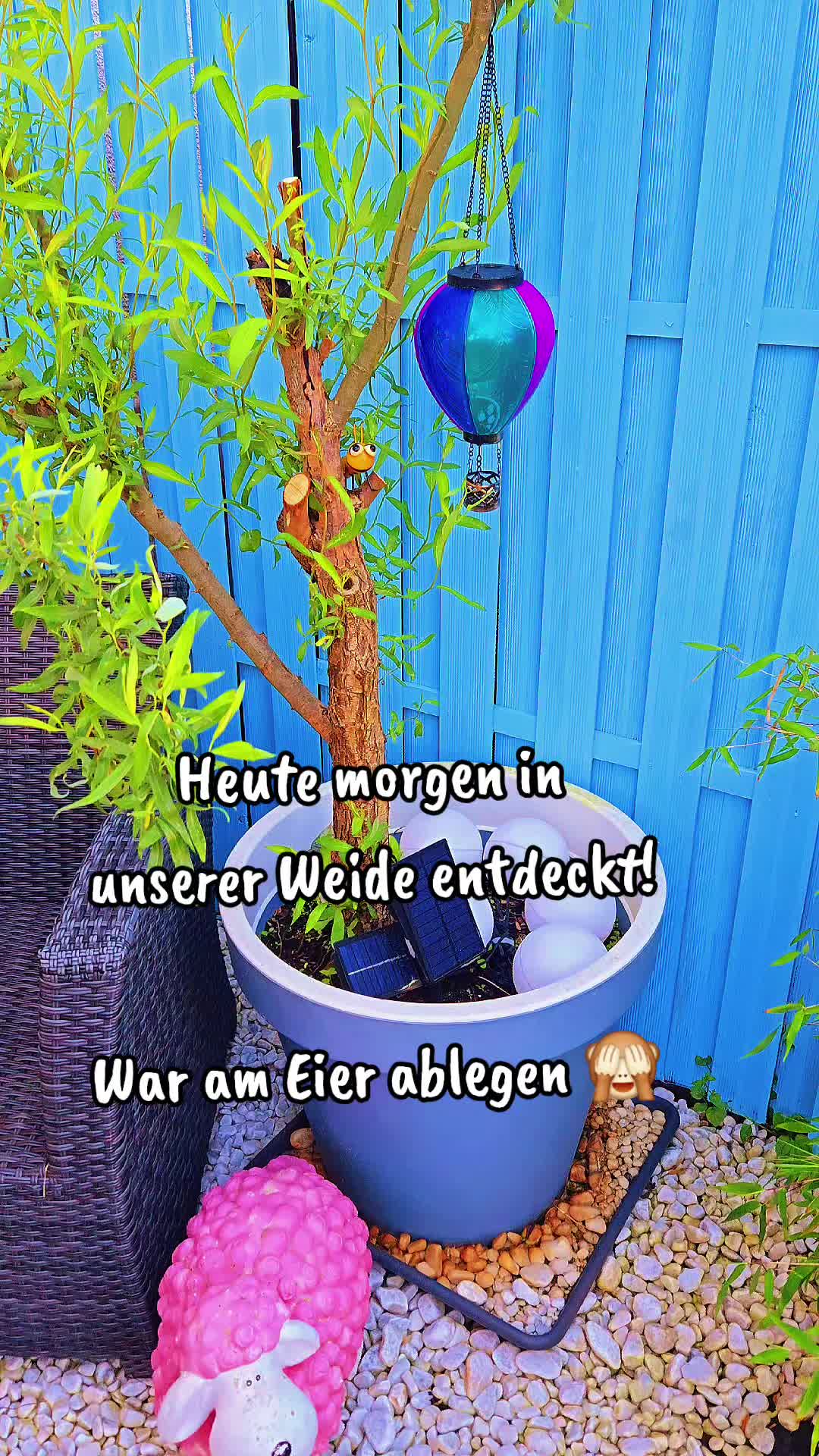 @Shari's wunderbare Welt