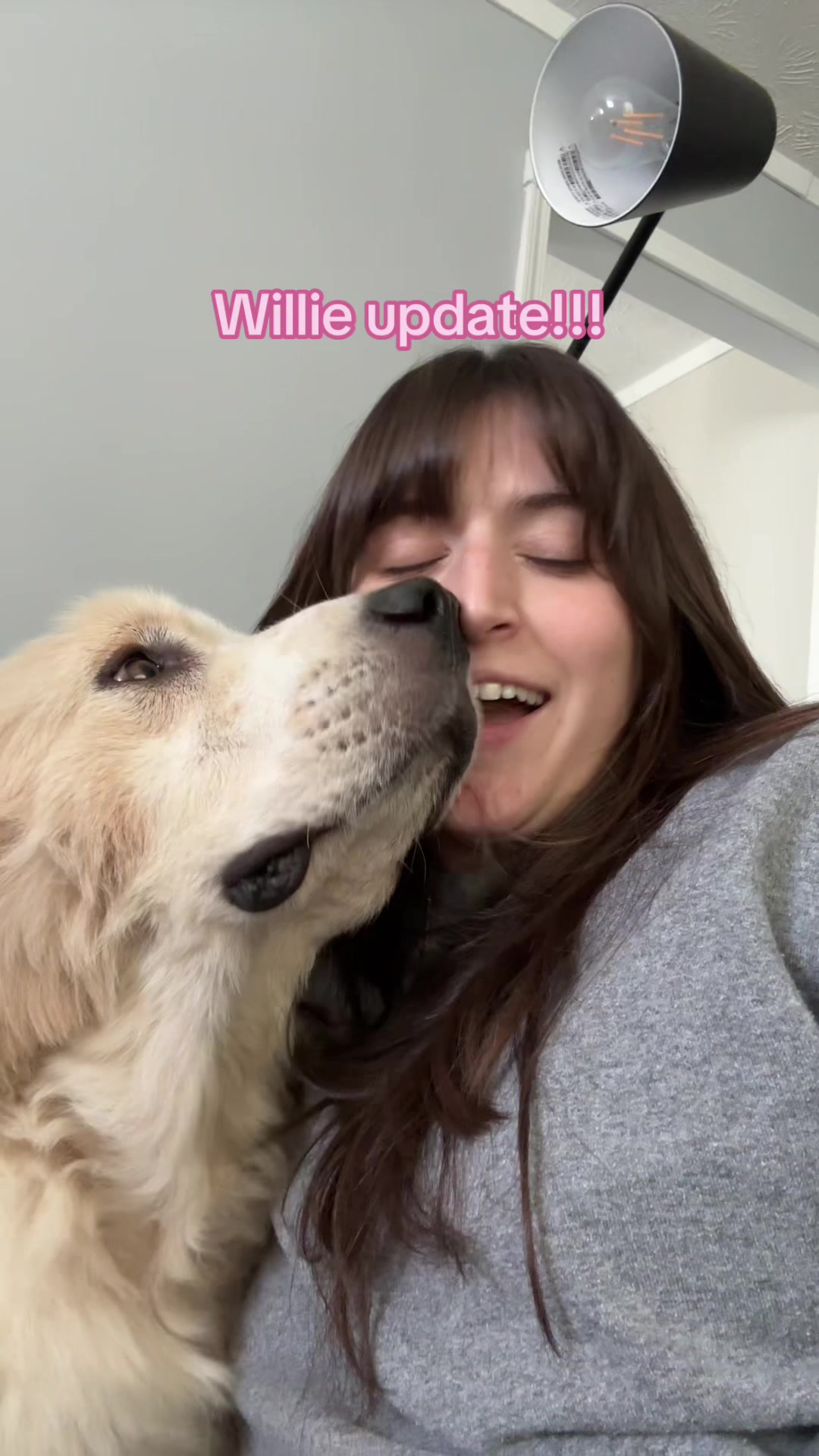 @futuredoctormegdvm