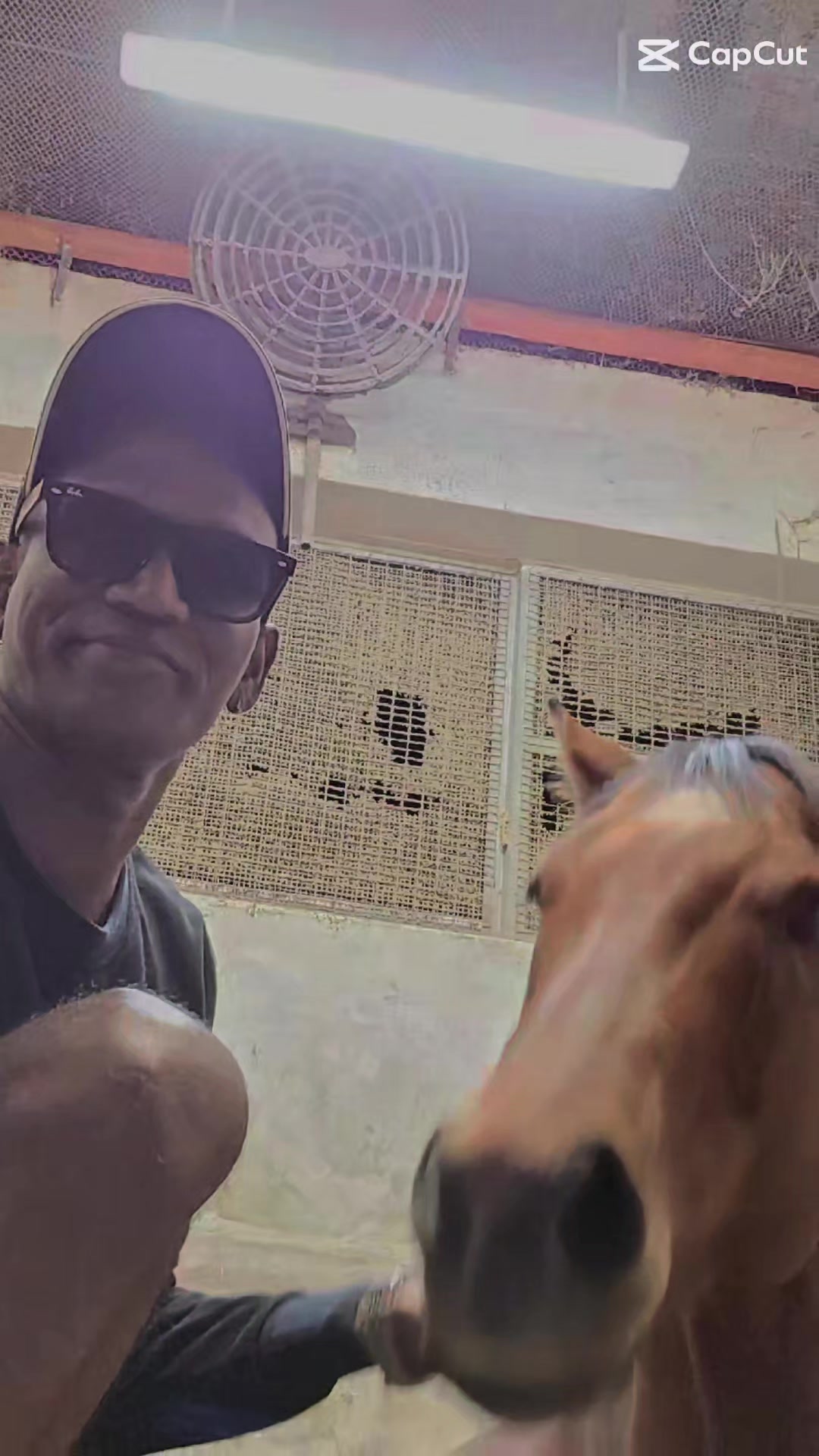 @kevin 🏆🏇🏇🏇🏆 🇸🇬🇲🇾🇳🇿