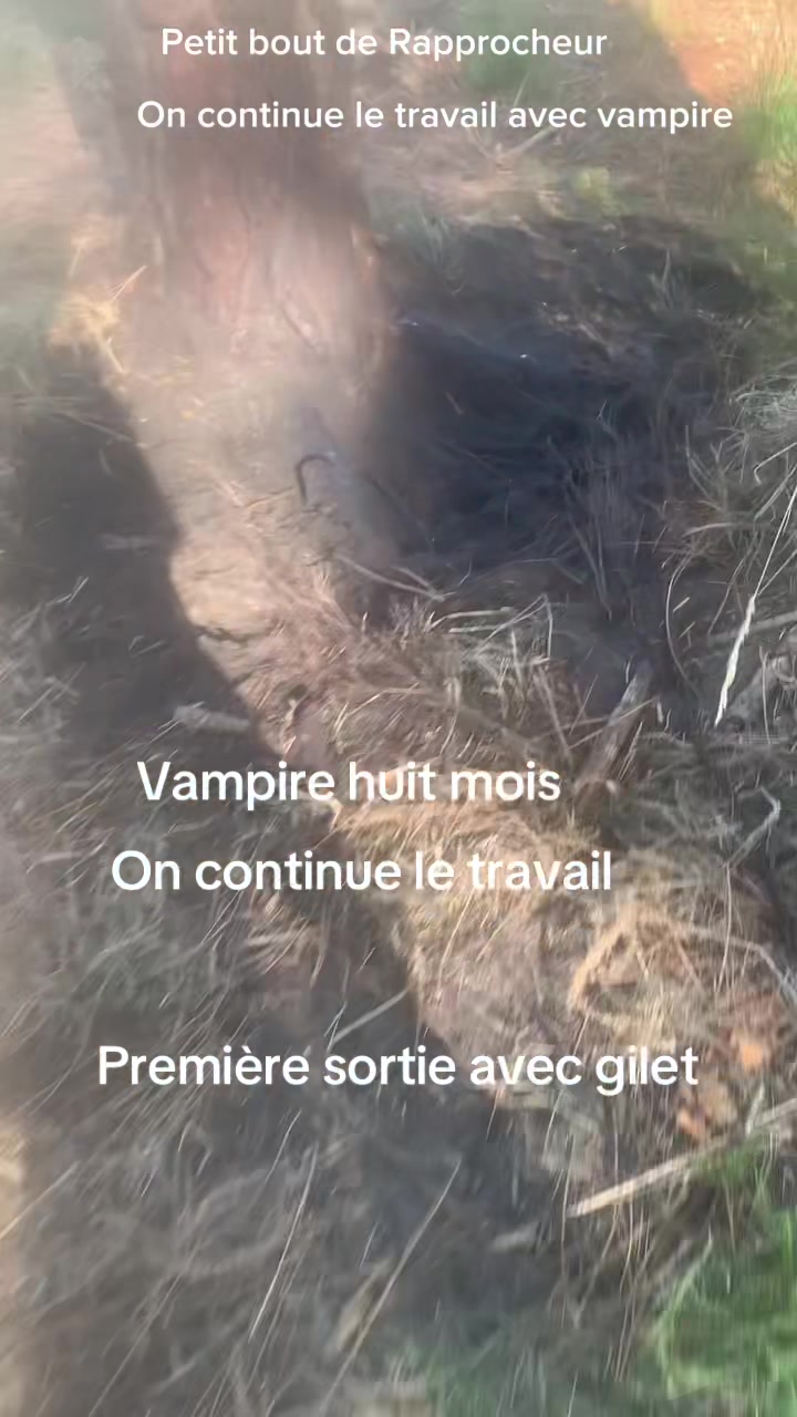 @desterresdejossaume