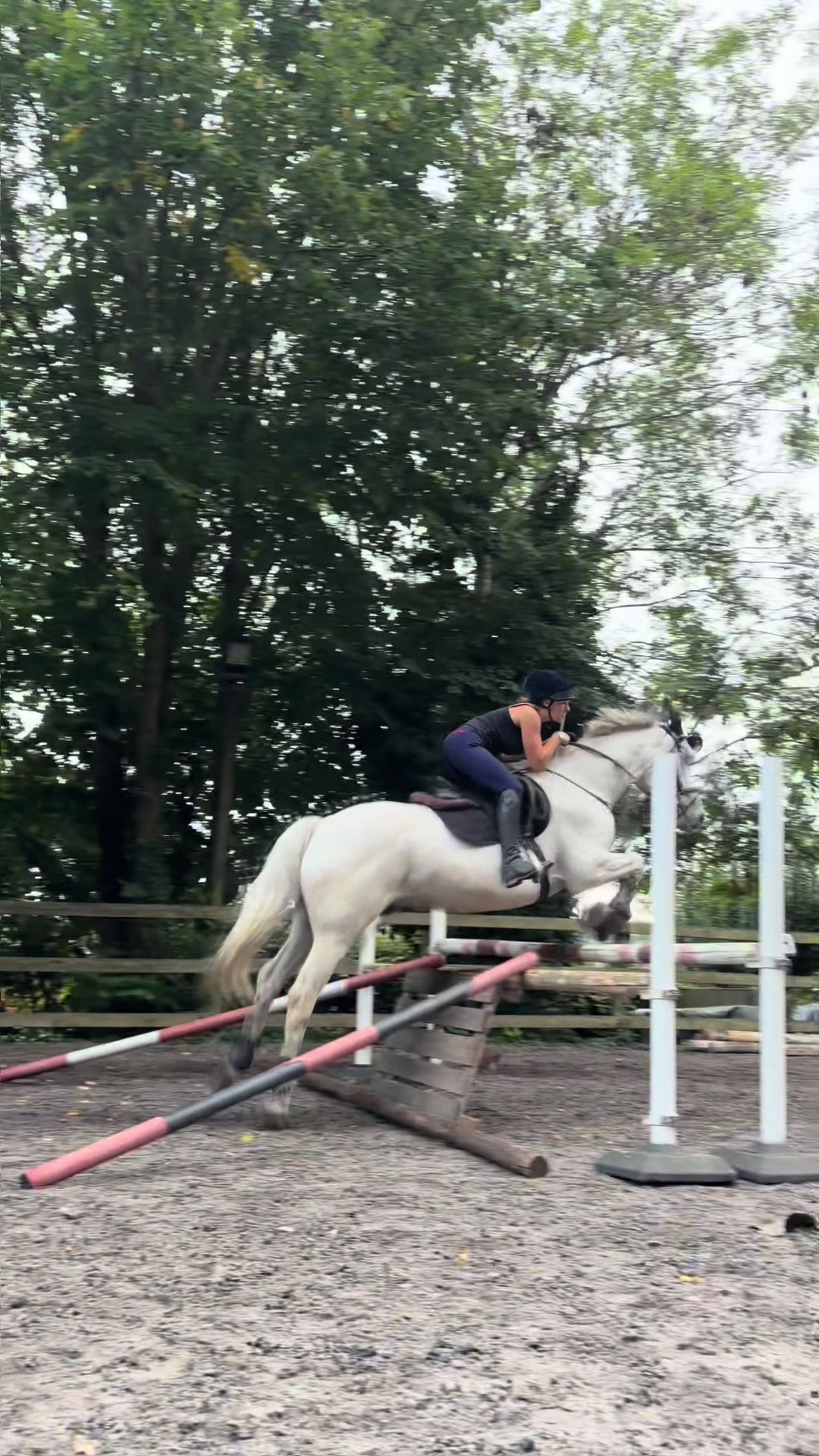 @Equ🐎:all the gear no idea🫶✌️