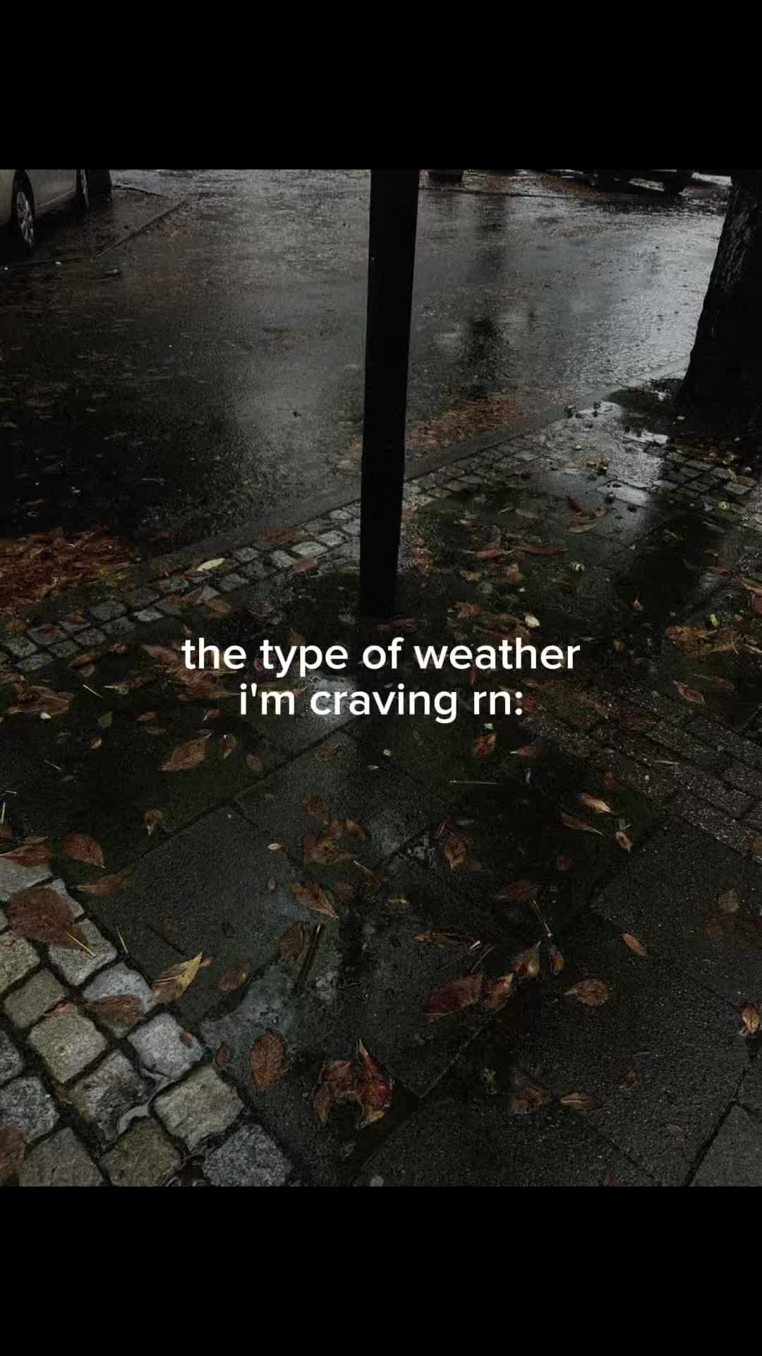@feels🩶