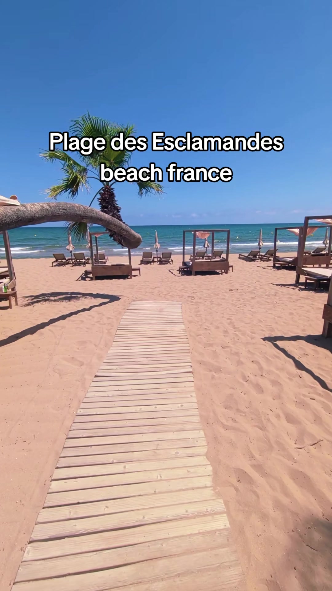 @✈️ travel with us 🌴🏝️🌍