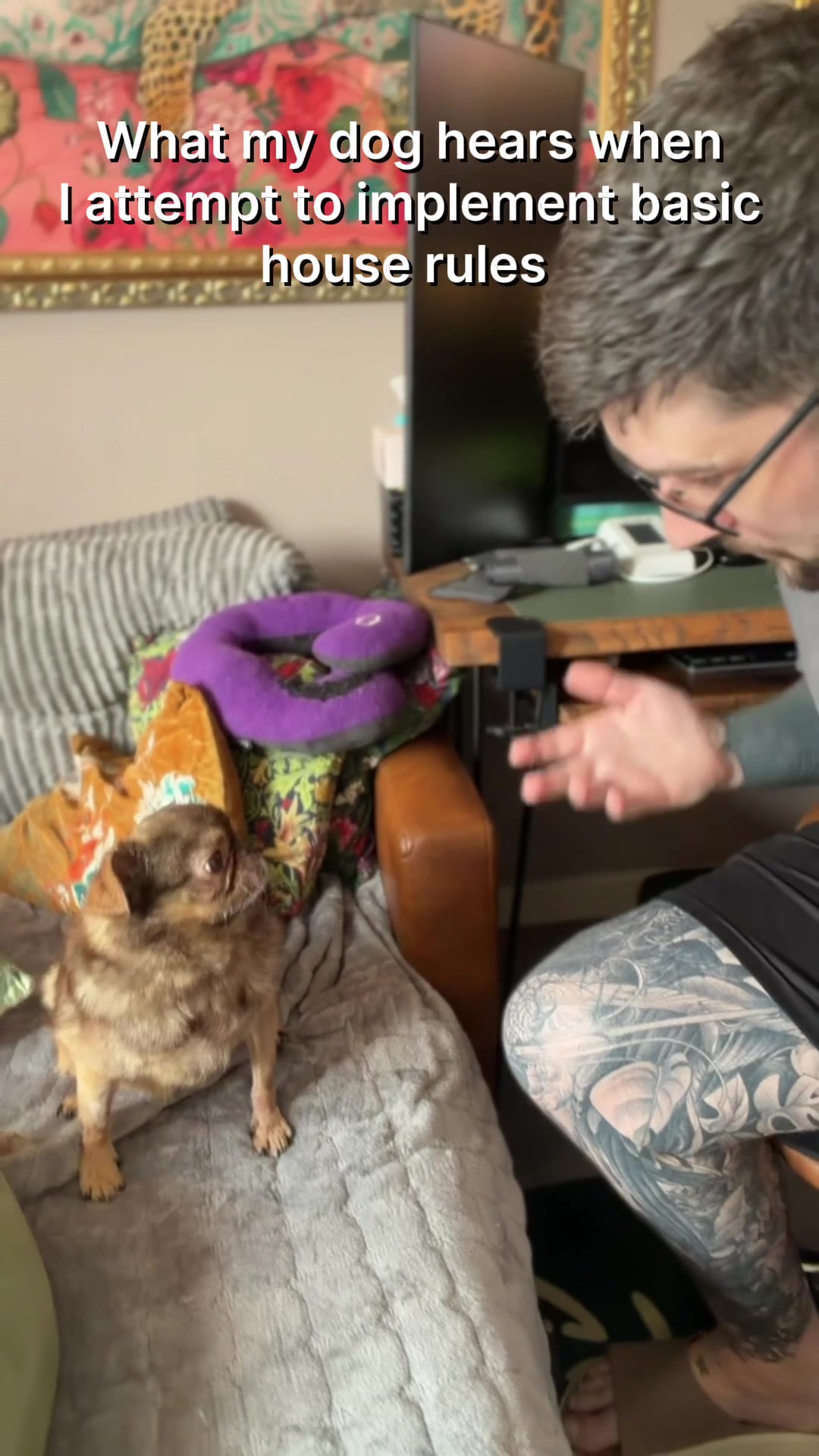 @ChilliThePug