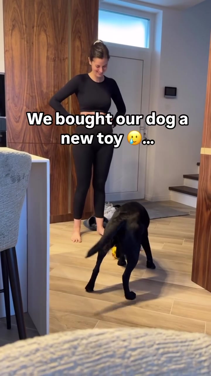 @lisatheblacklab