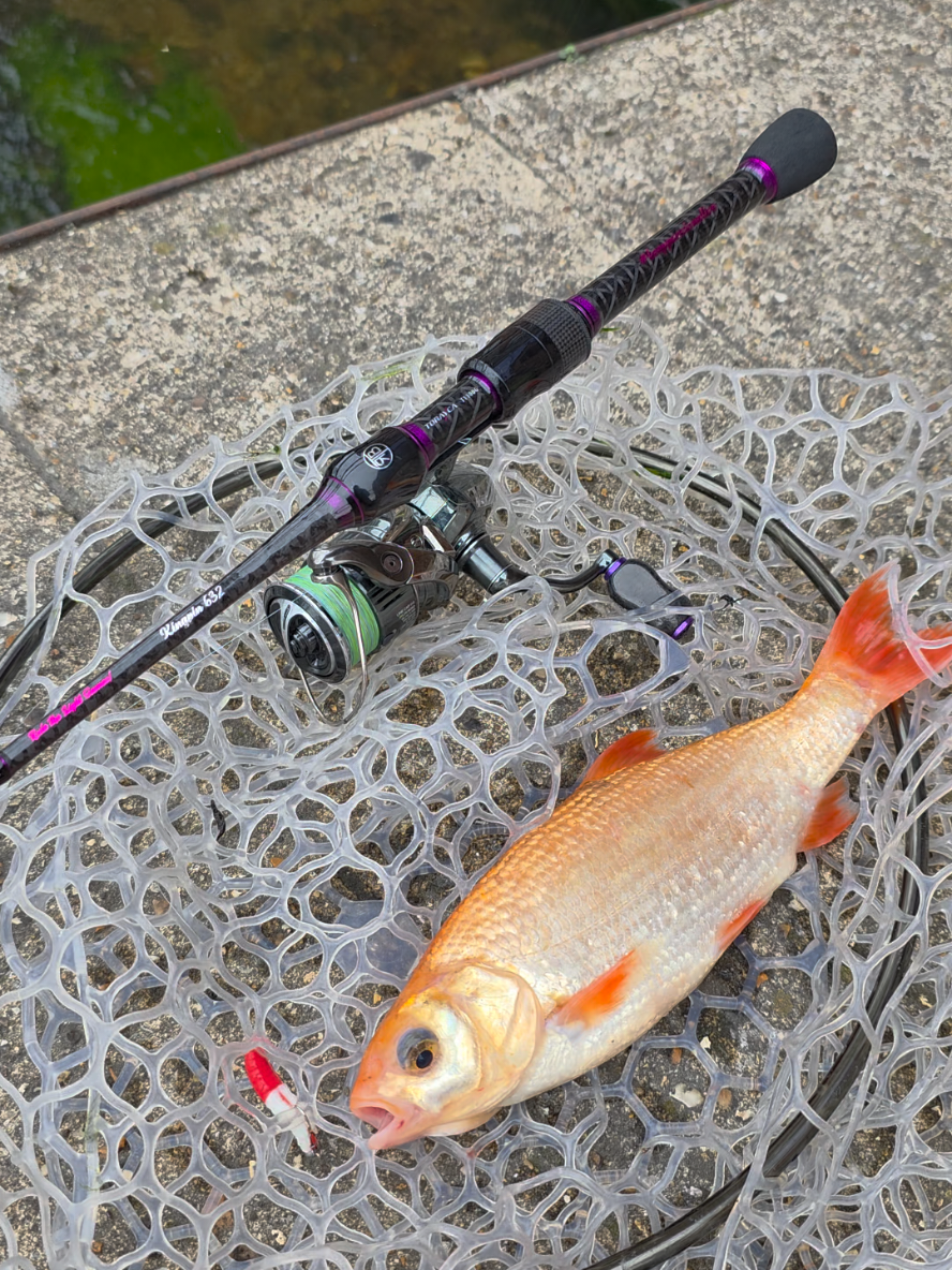 @BF Angler