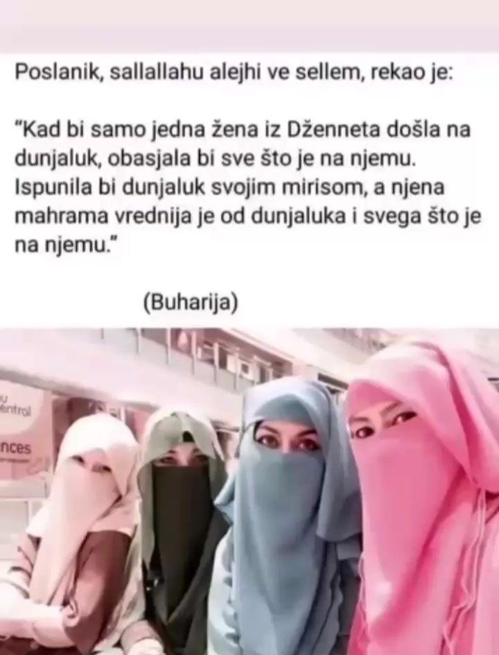 @fikretmedjedovic7