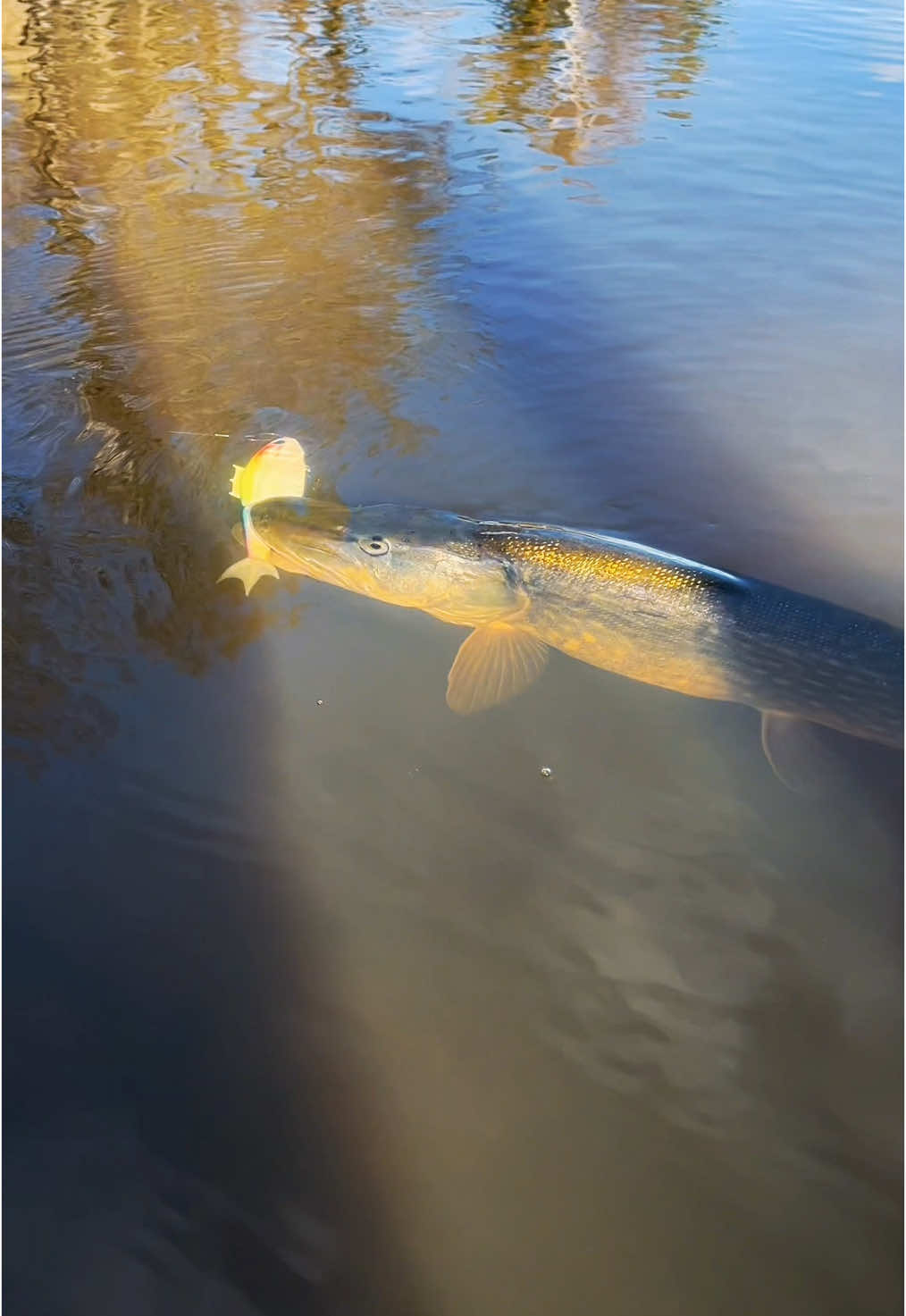 @Tackle Crew