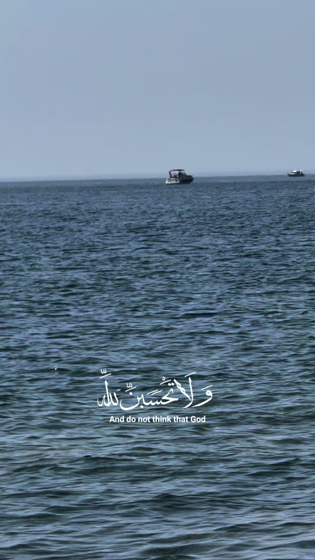 @فلسطيني وافتخر