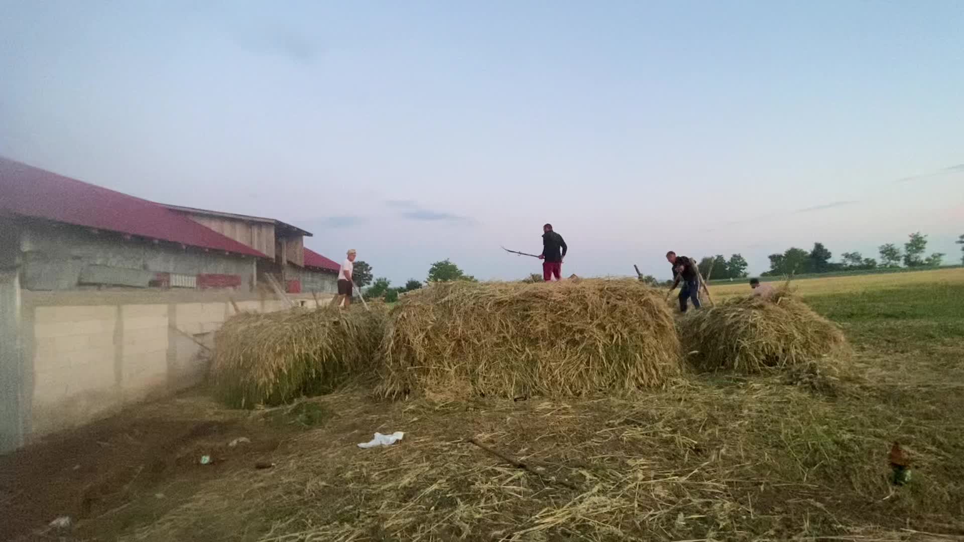 @Vlase179