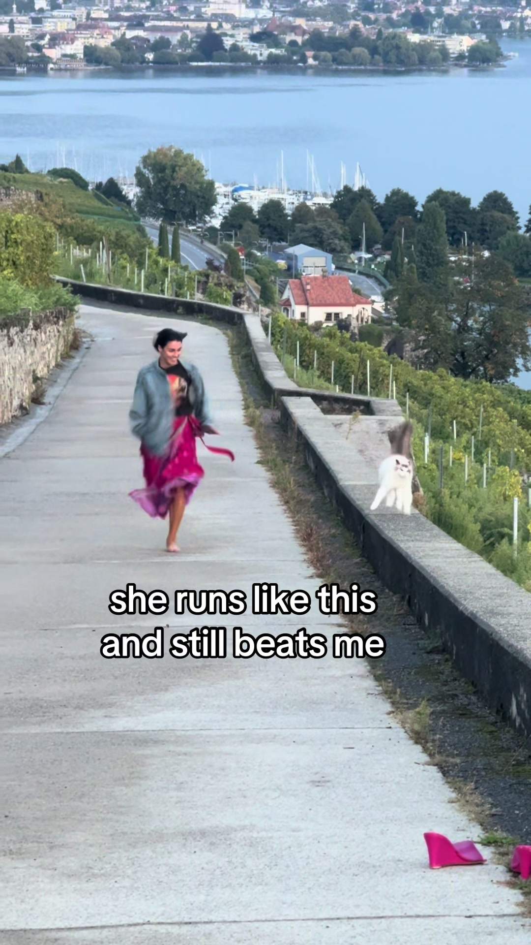@Lavaux Cat