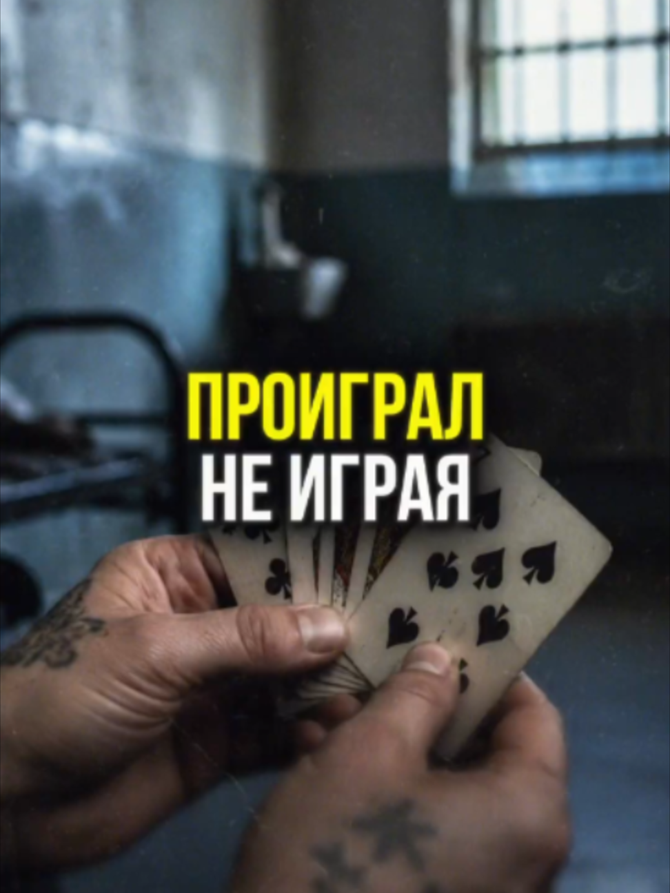 @М У Л Ь Т И Ч Е Л