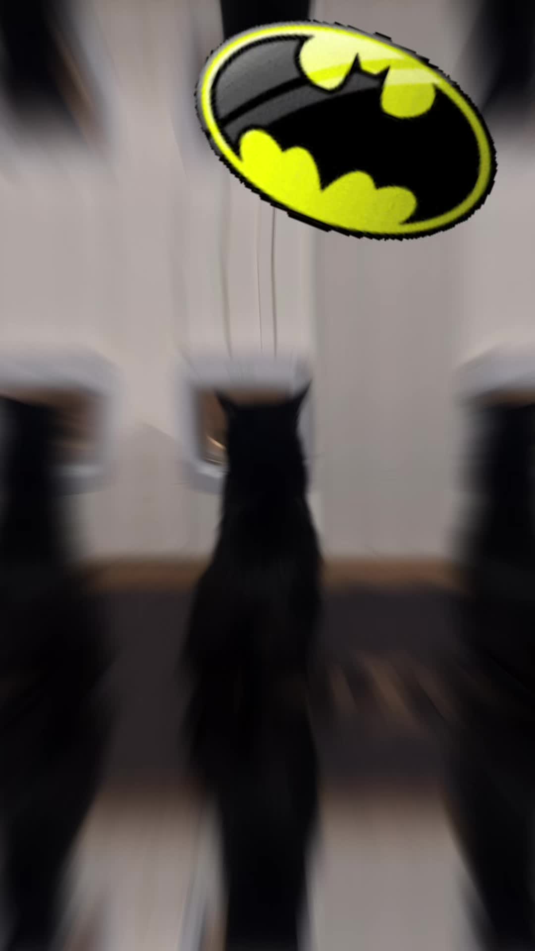 @ronnyolga