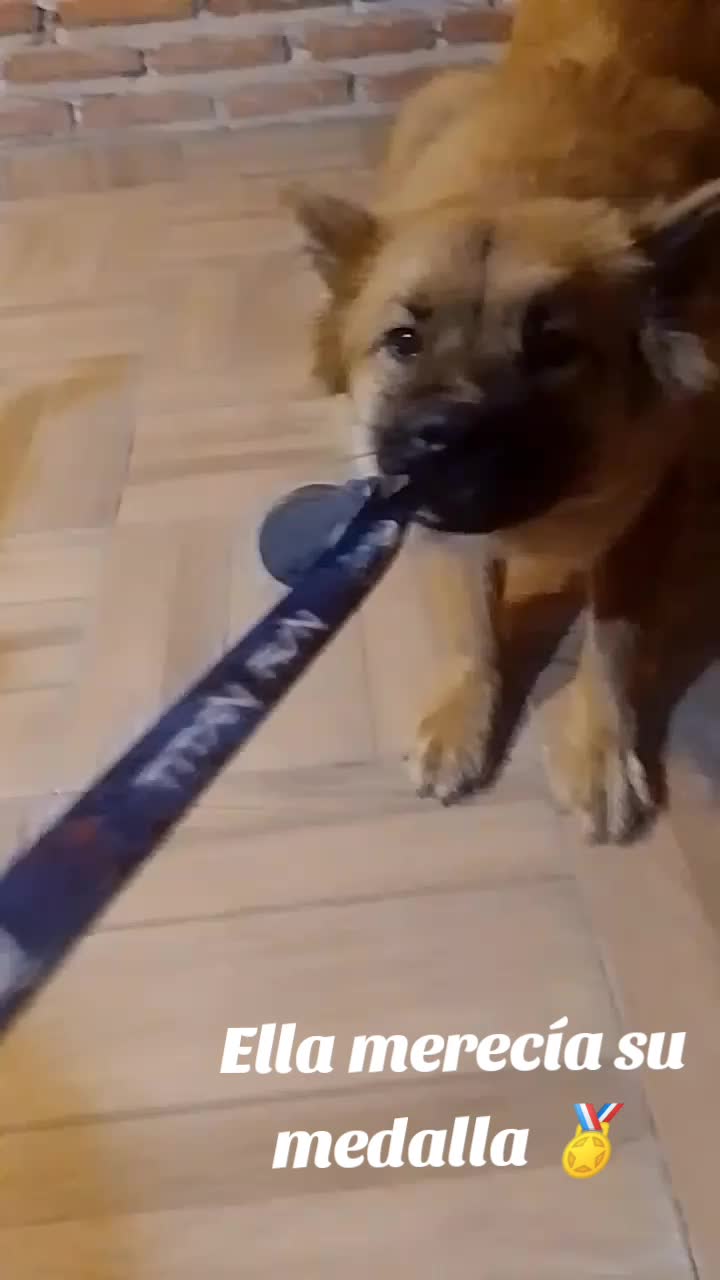 @Meyli Presiosita