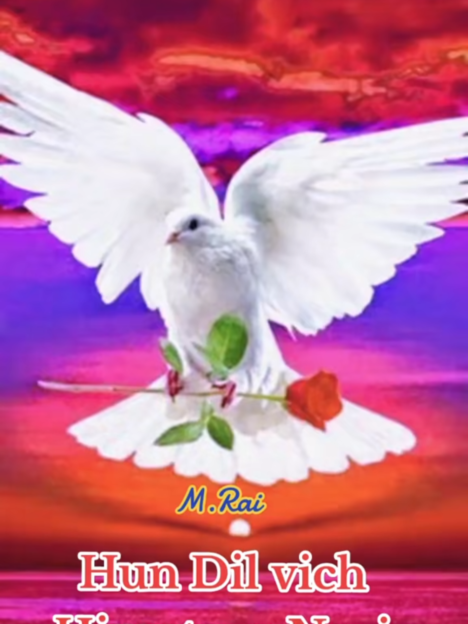 @MajorRai