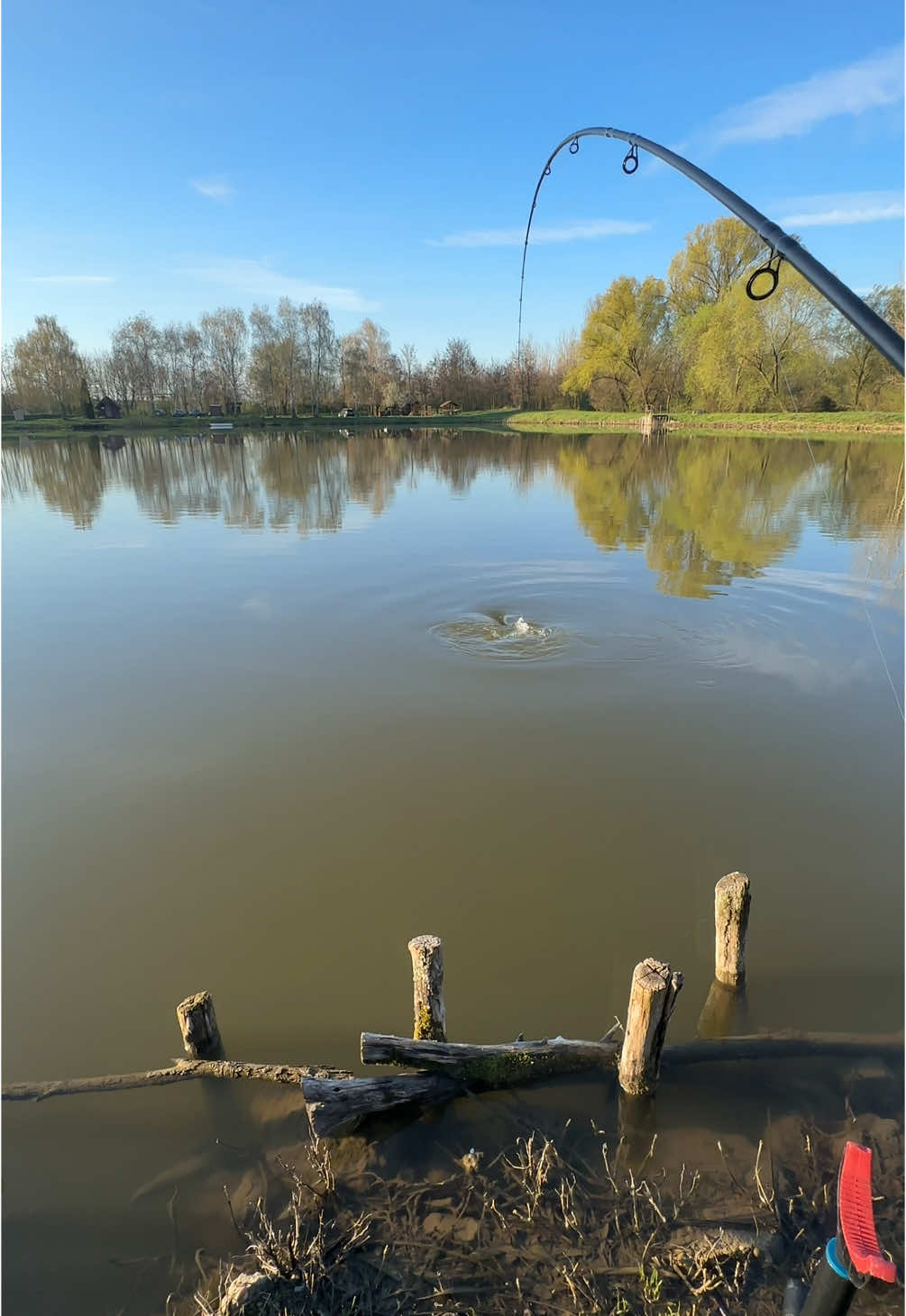 @🇭🇺CarpHunter🎣Dénes🇭🇺