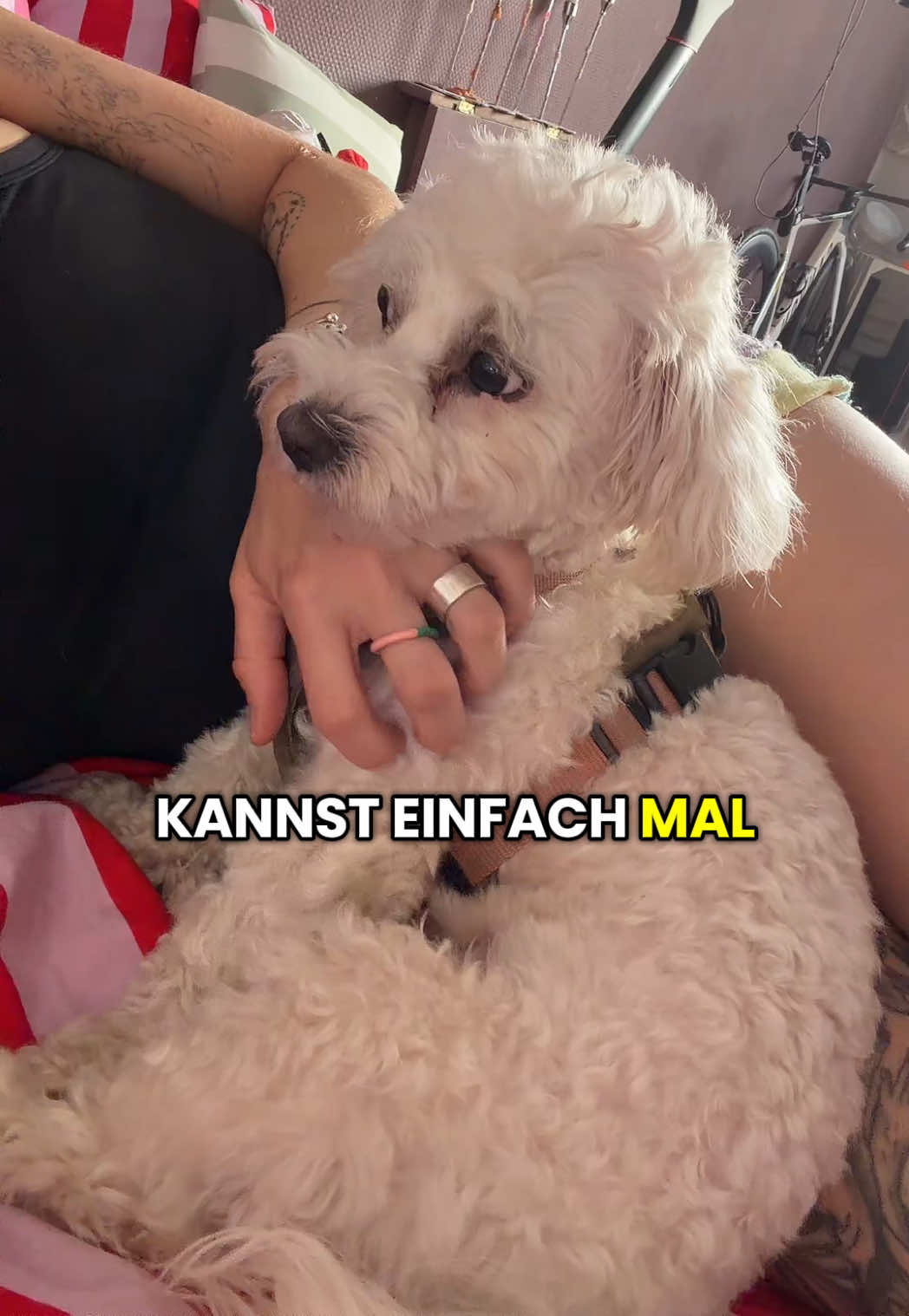 @läuftbeimir