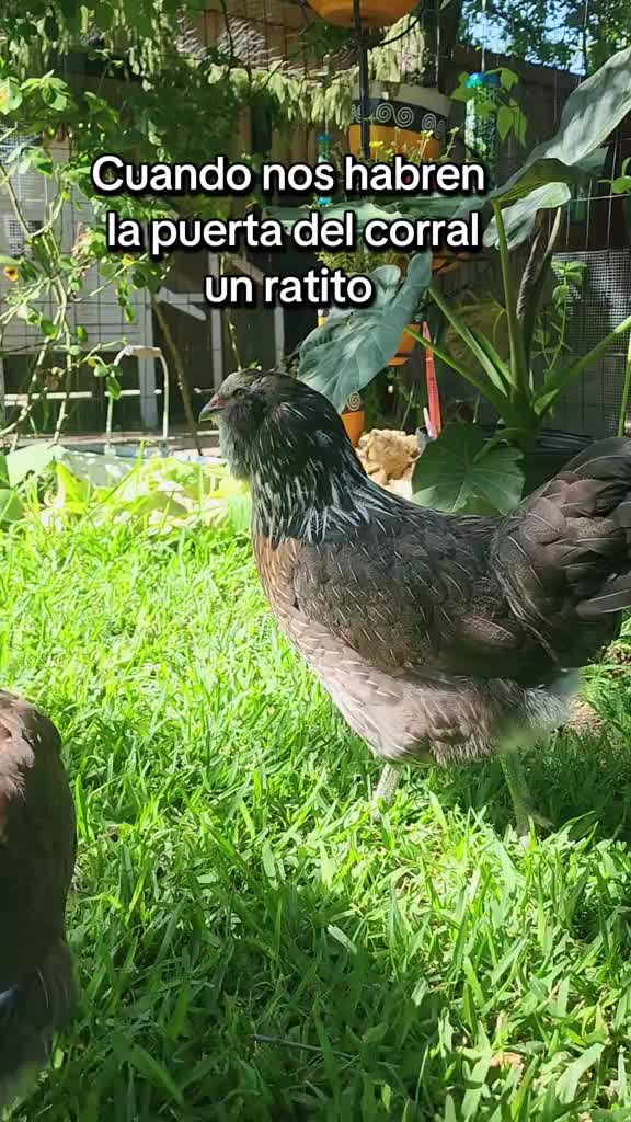 @Mi Rinc&oacute;n Favorito