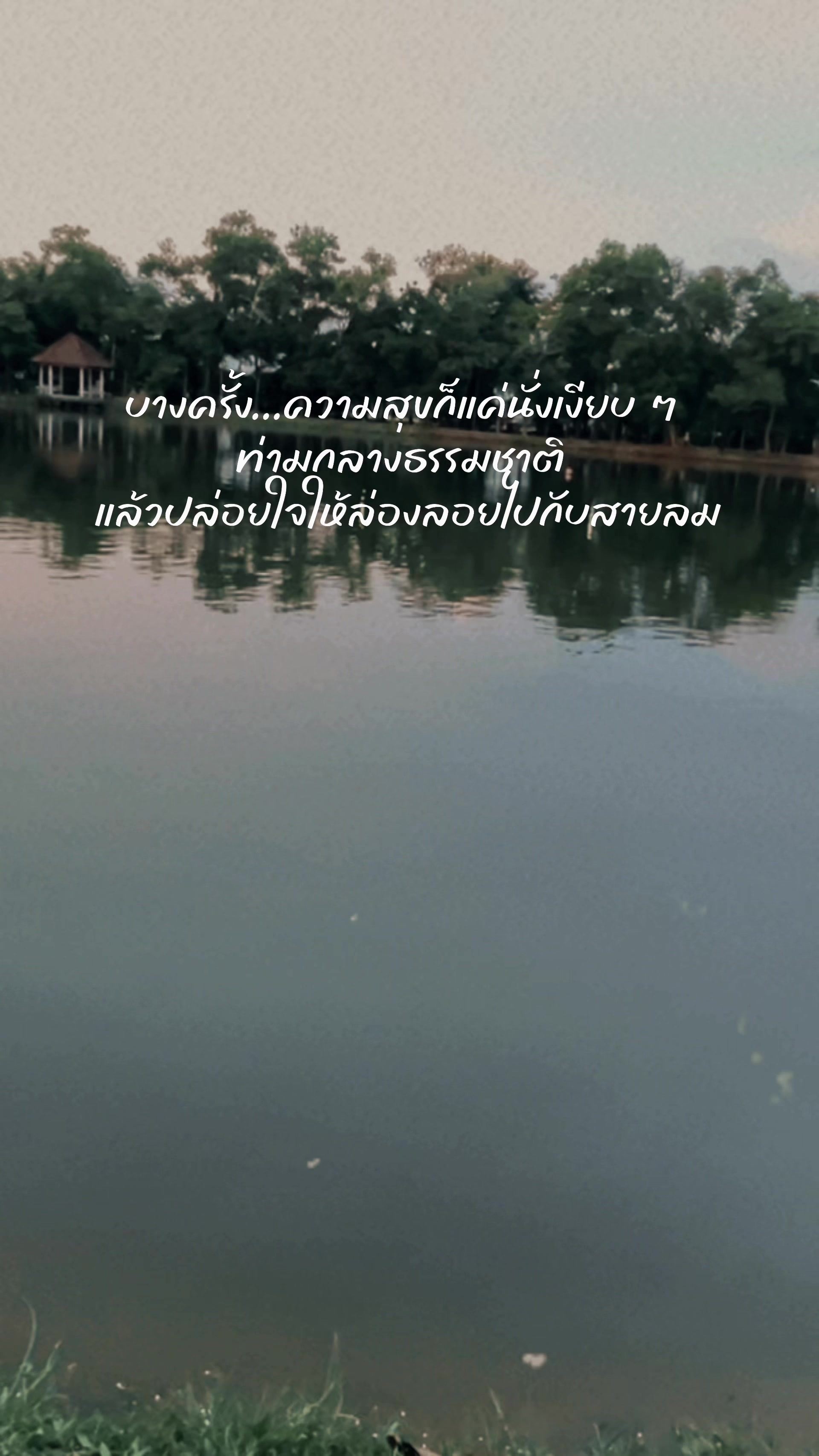@มีแมวชื่อถุงเงิน