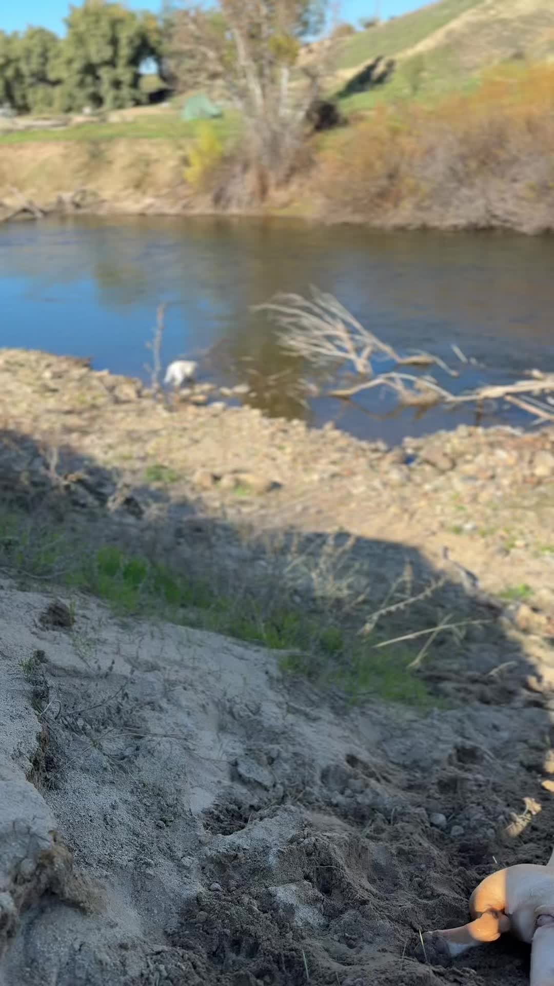 @Niceforabulldyke