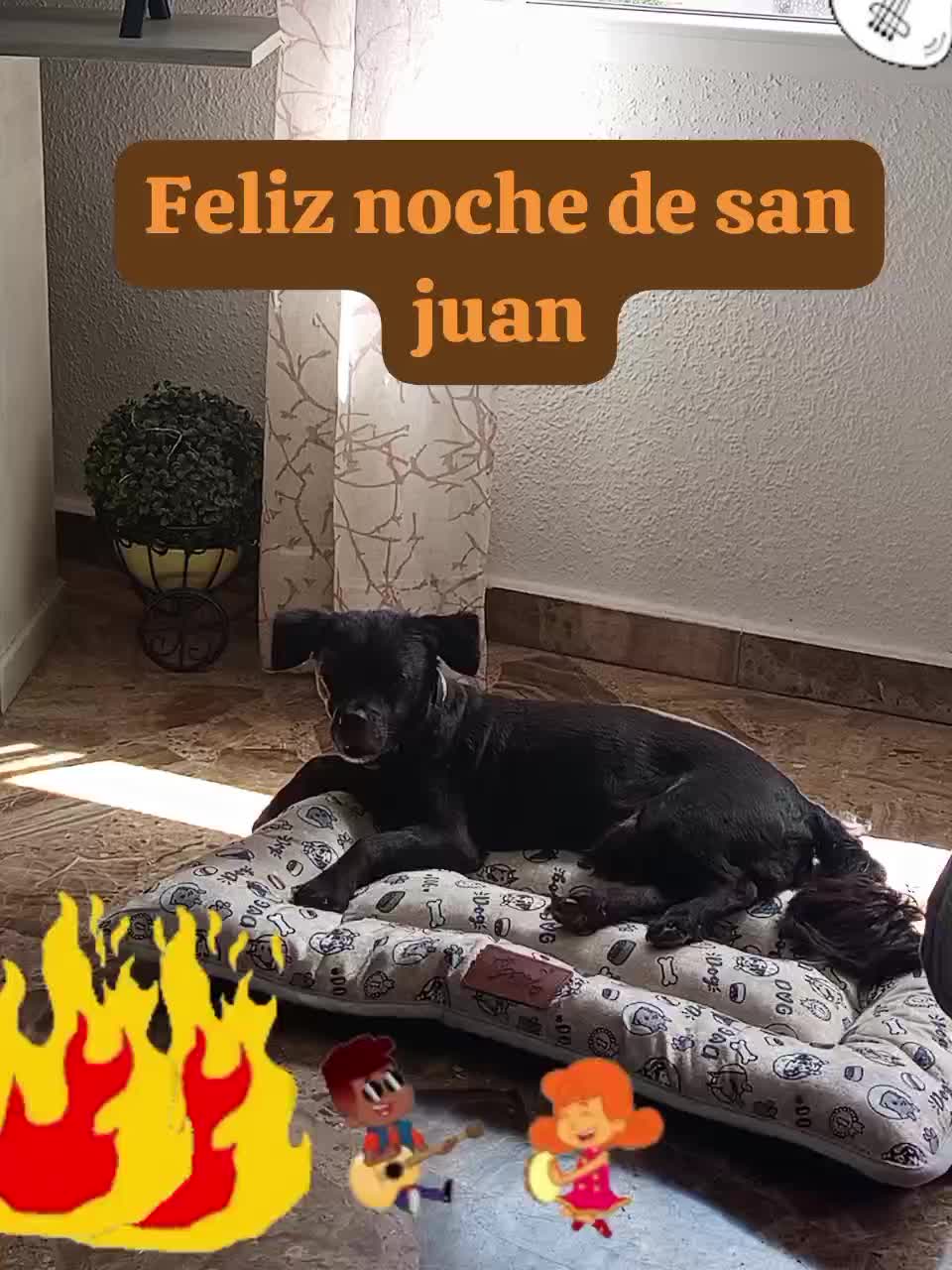 @Maria Josefa Lopez S