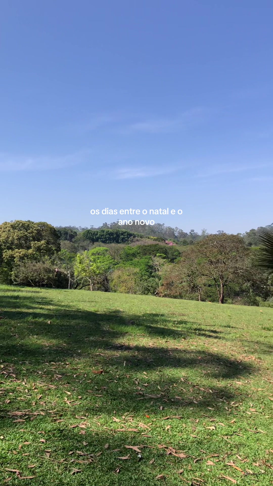 @Ta&iacute;s Saraiva