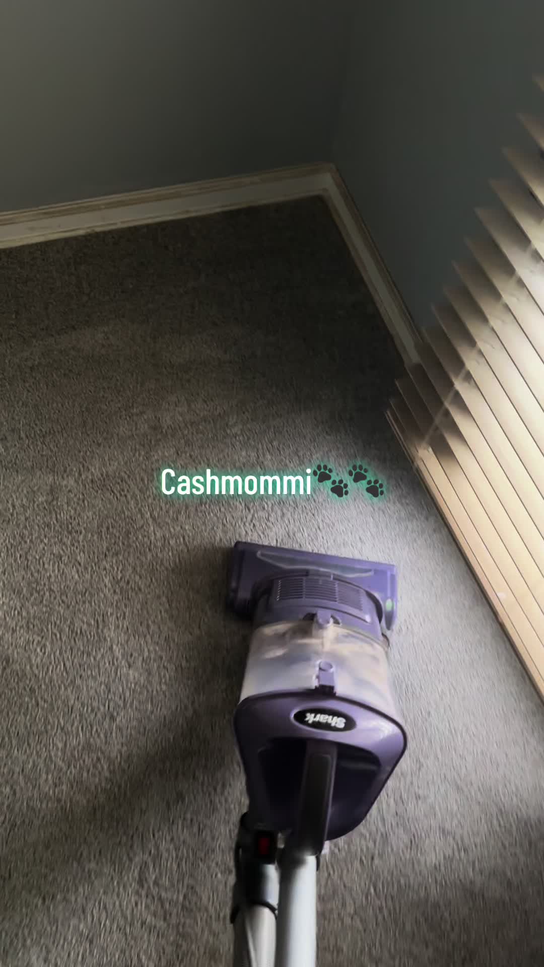 @CashmommiVacs