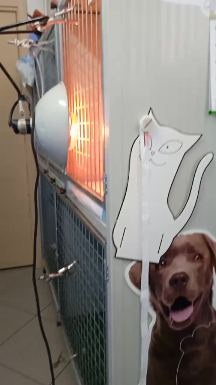 @dr.Giuseppe Vet
