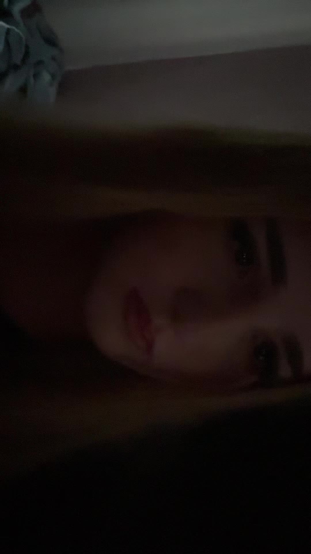 @esmaeee