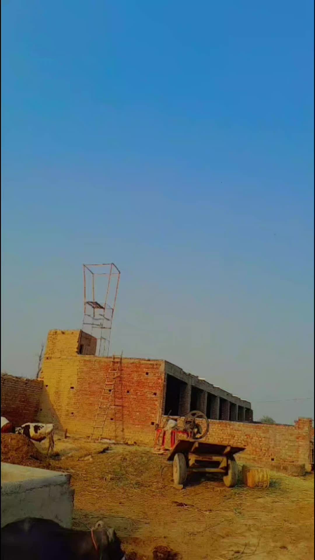@🥷اناپرست۔جٹ🦅
