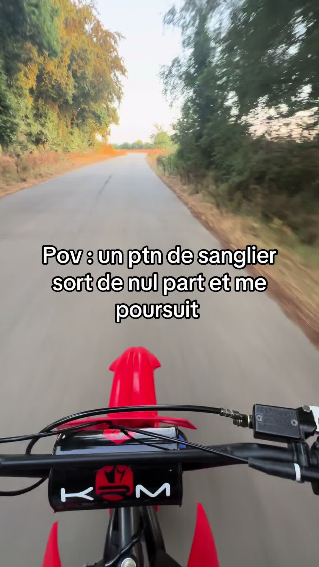 @krog.sm