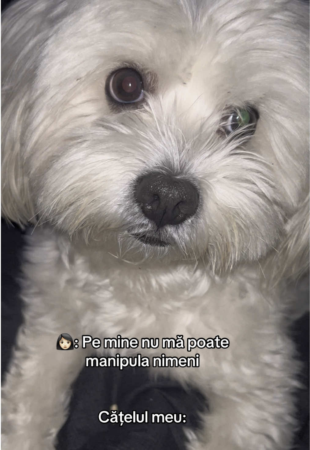@Chris ✨