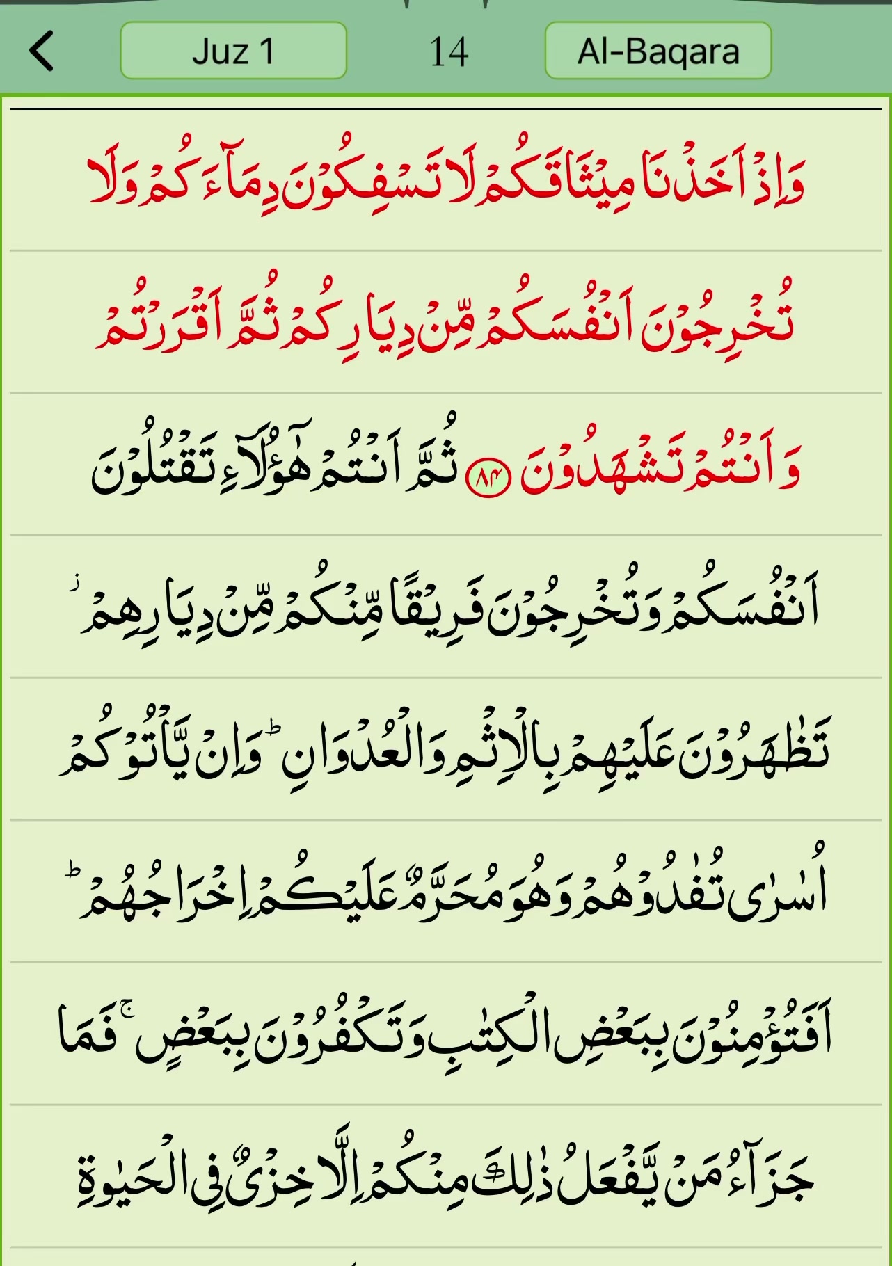 @Khadija