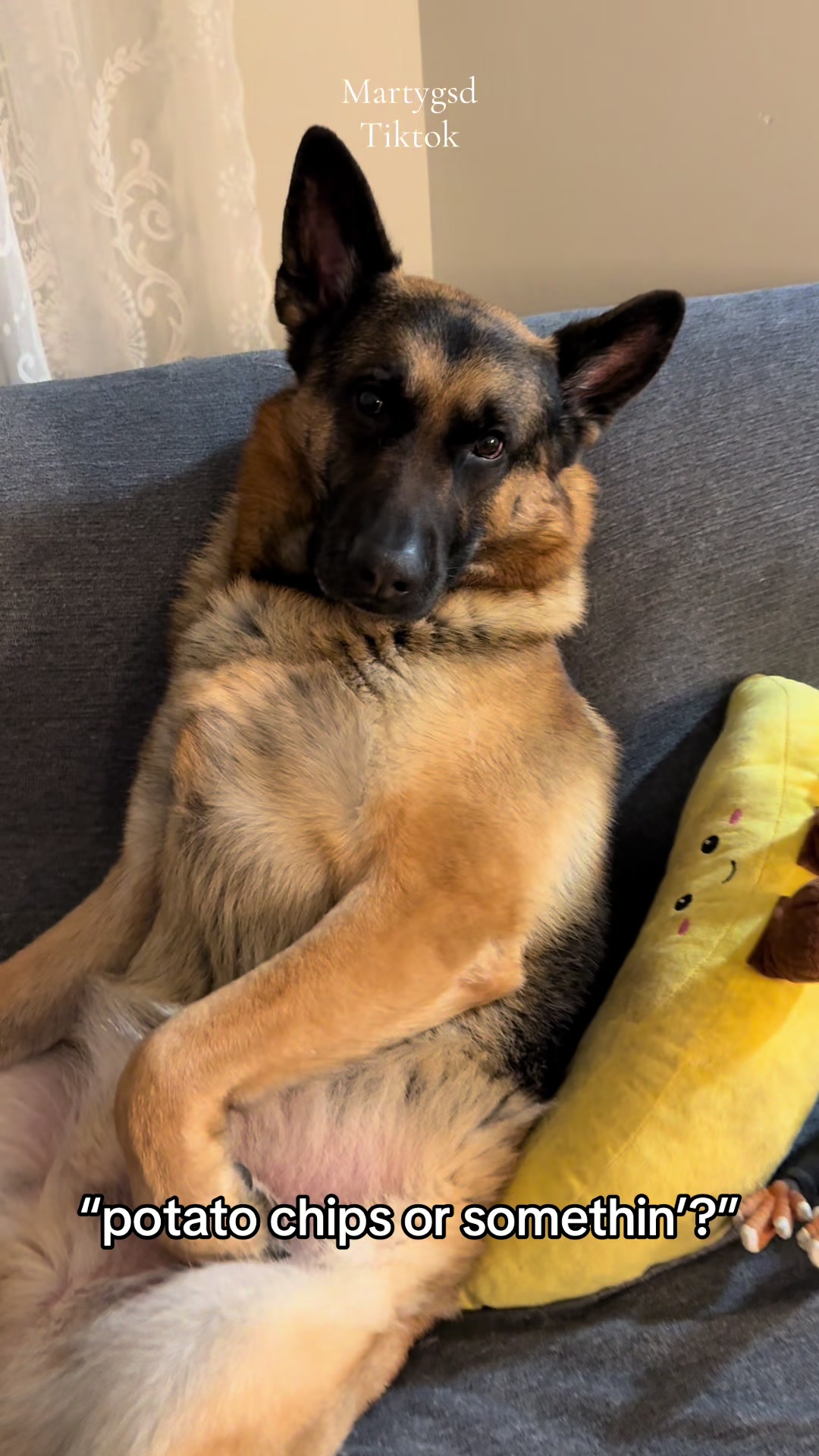 @Martygsd