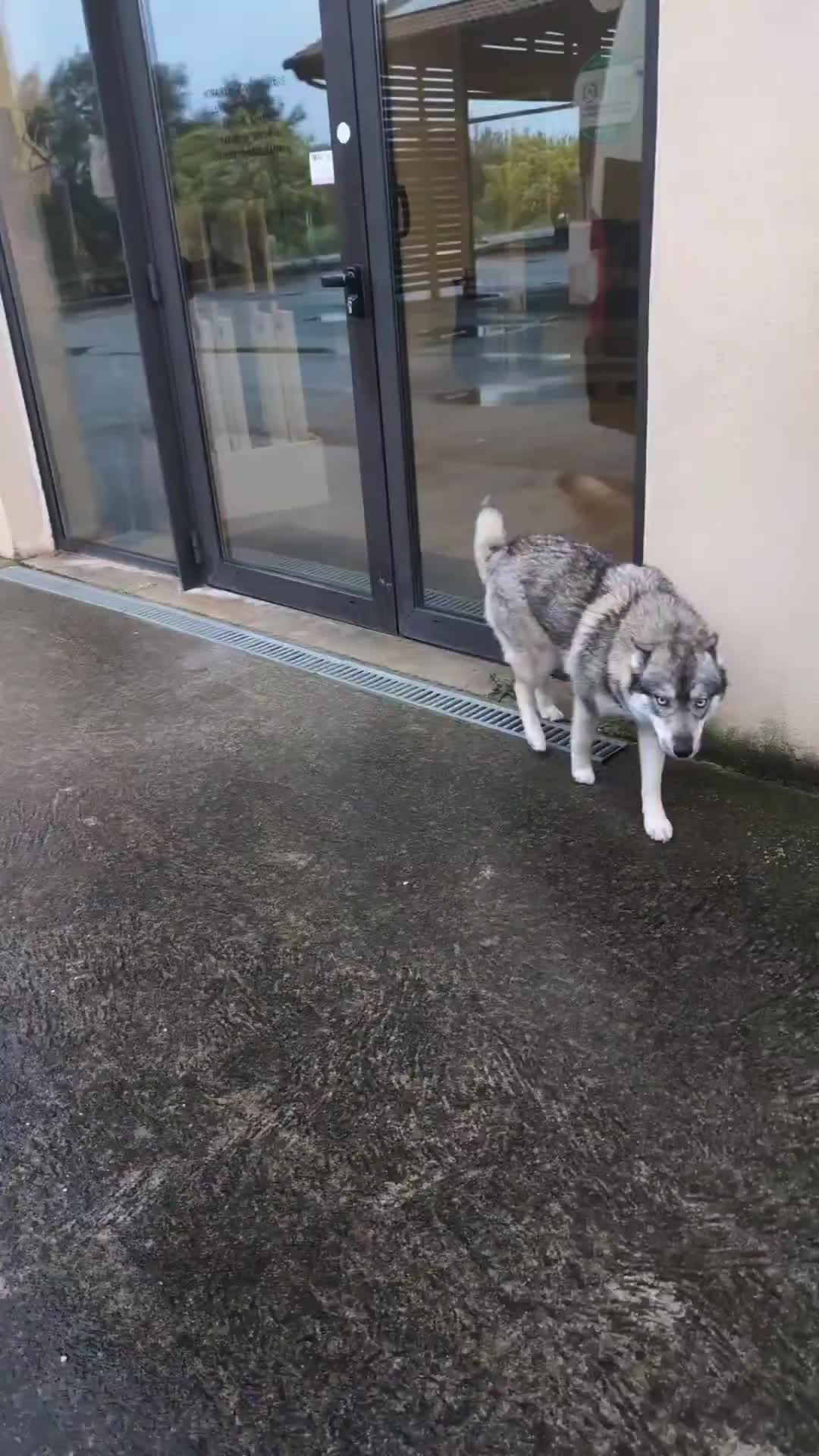 @🐺 𝕱𝖊𝖓𝖗𝖎𝖗 2𝖇 🐺