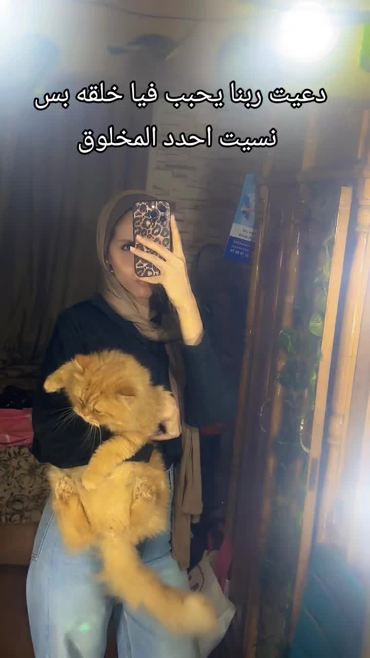 @๐๐๐ โ๏ธ