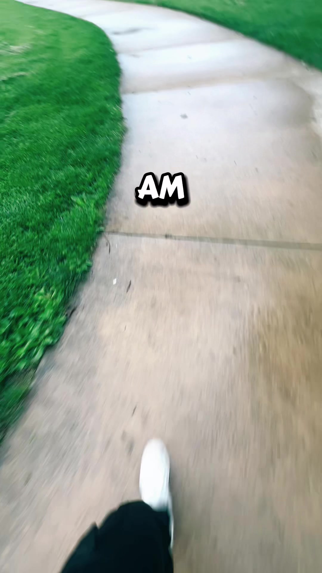 @🪶 Amos 🪶