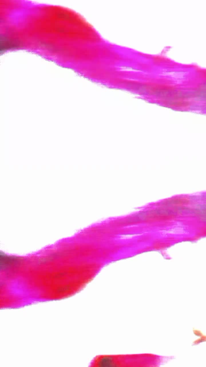 @_๐ฑ๐ช๐ฌ๐ข๐น๐ฉ๐ถ๐ถ๐ช_