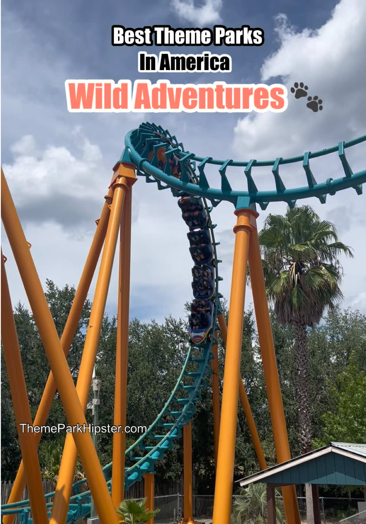 @NikkyJ Solo Theme Park Travel