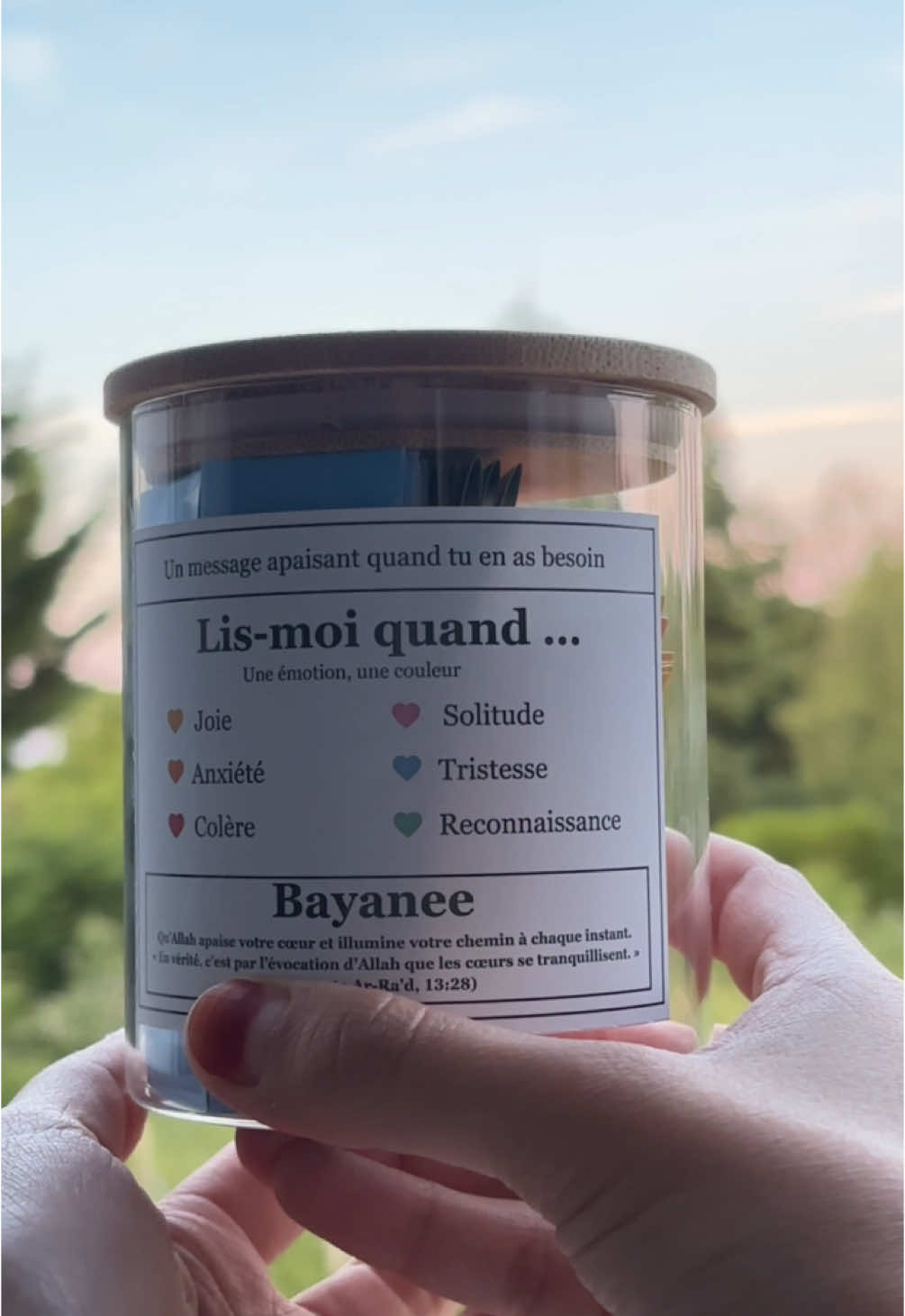 @bayanee.fr