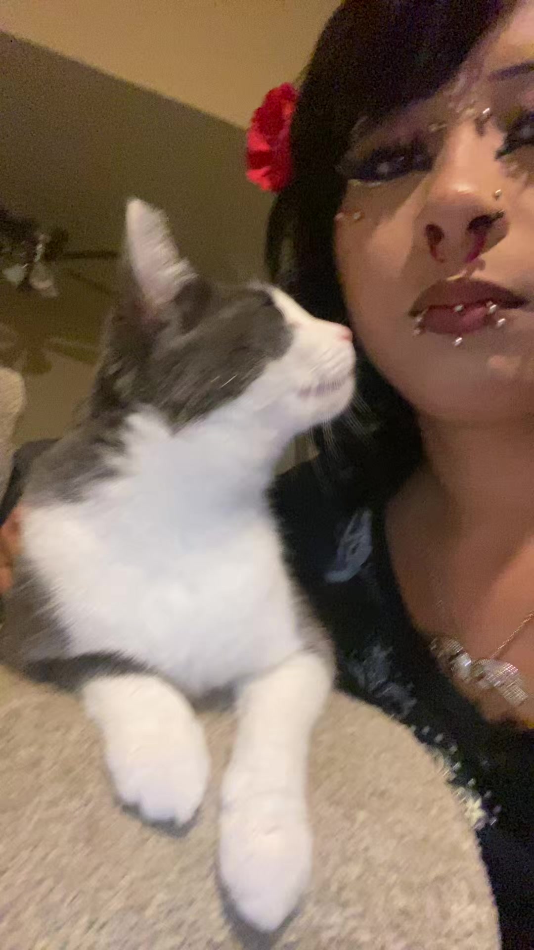 @Jazzy🐈&zwj;⬛