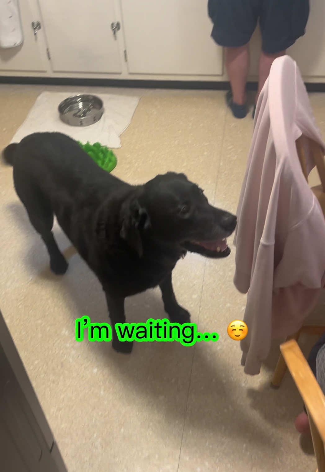@rubenblacklab