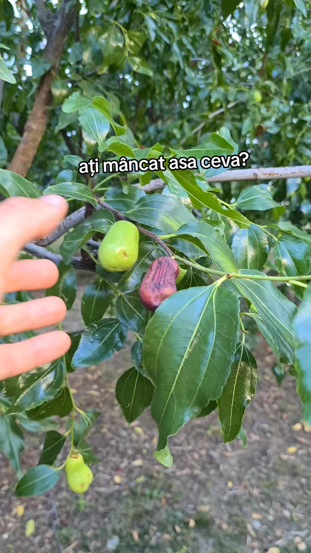 @Bogdan Hriscu